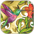 hummingbird
