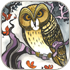 owl